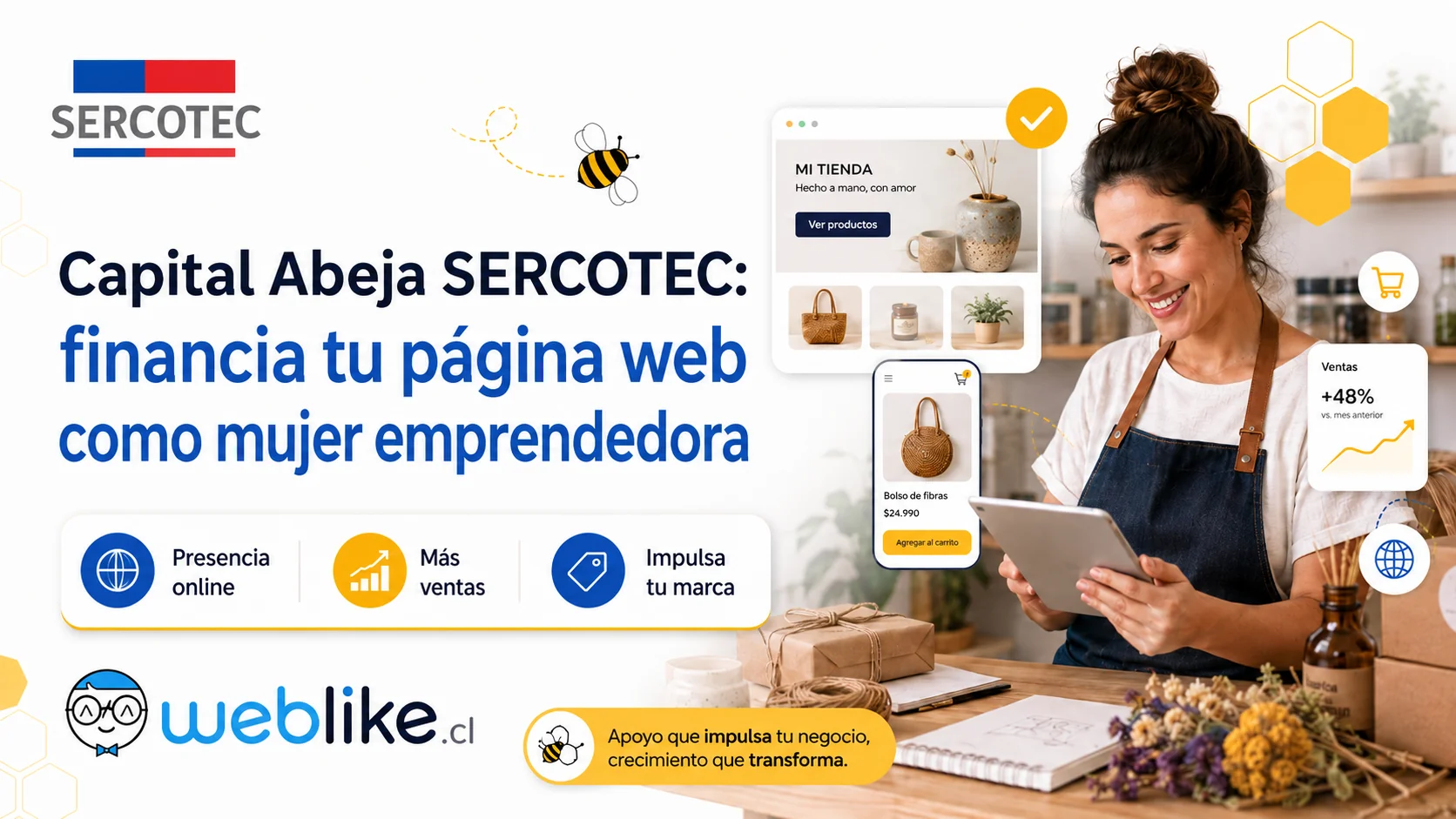 Capital Abeja SERCOTEC: página web para mujeres emprendedoras