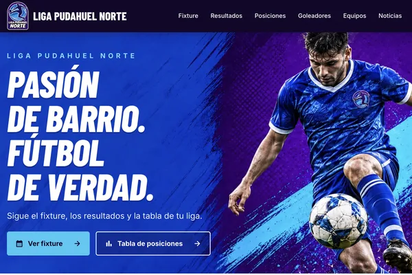 Sitio web de ligapudahuelnorte.cl